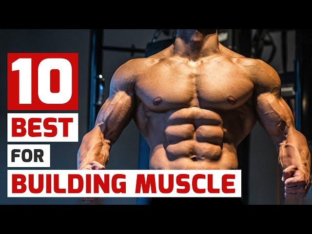 10 Effective Muscle Building Workouts