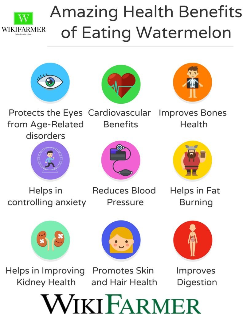 Amazing Health Benefits of Eating Watermelon