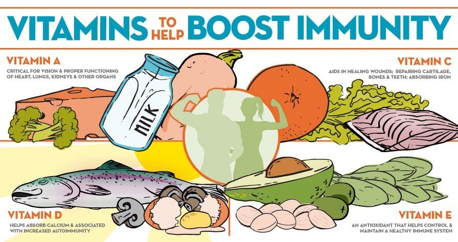 Boost Your Immune System with the Best Vitamins