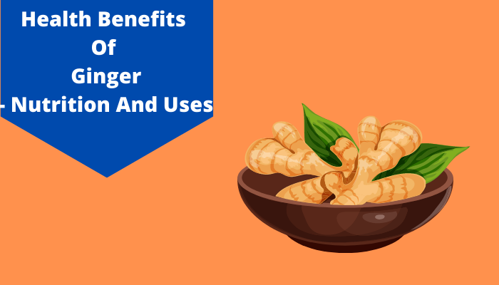 Exploring the Incredible Health Benefits of Ginger