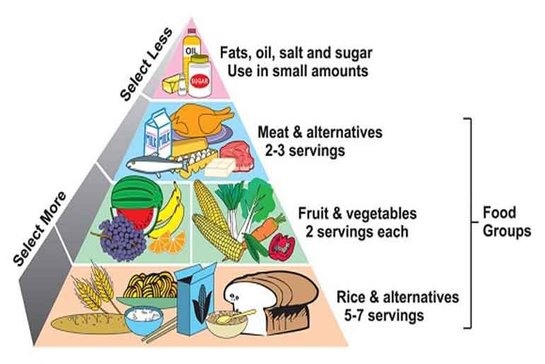 The Importance of a Balanced Diet for Weight Management