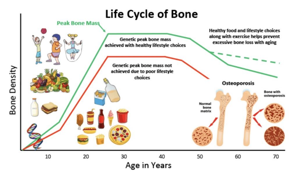 The Importance of Minerals for Bone Health