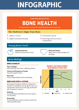 The Importance of Minerals for Bone Health