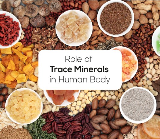 The Importance of Trace Minerals in the Body