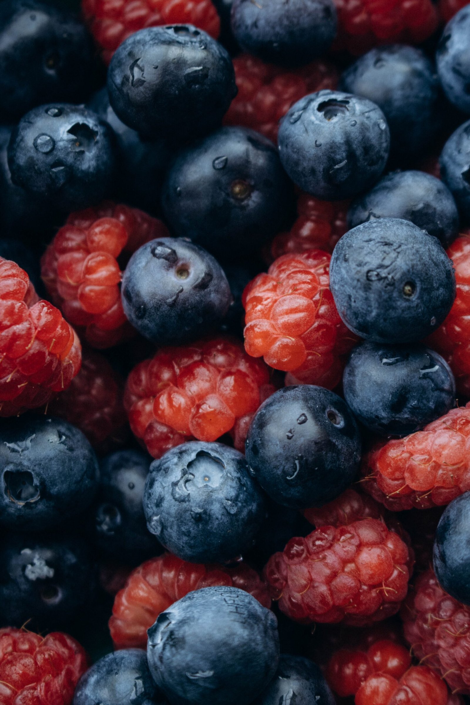 The Surprising Health Benefits of Blueberries