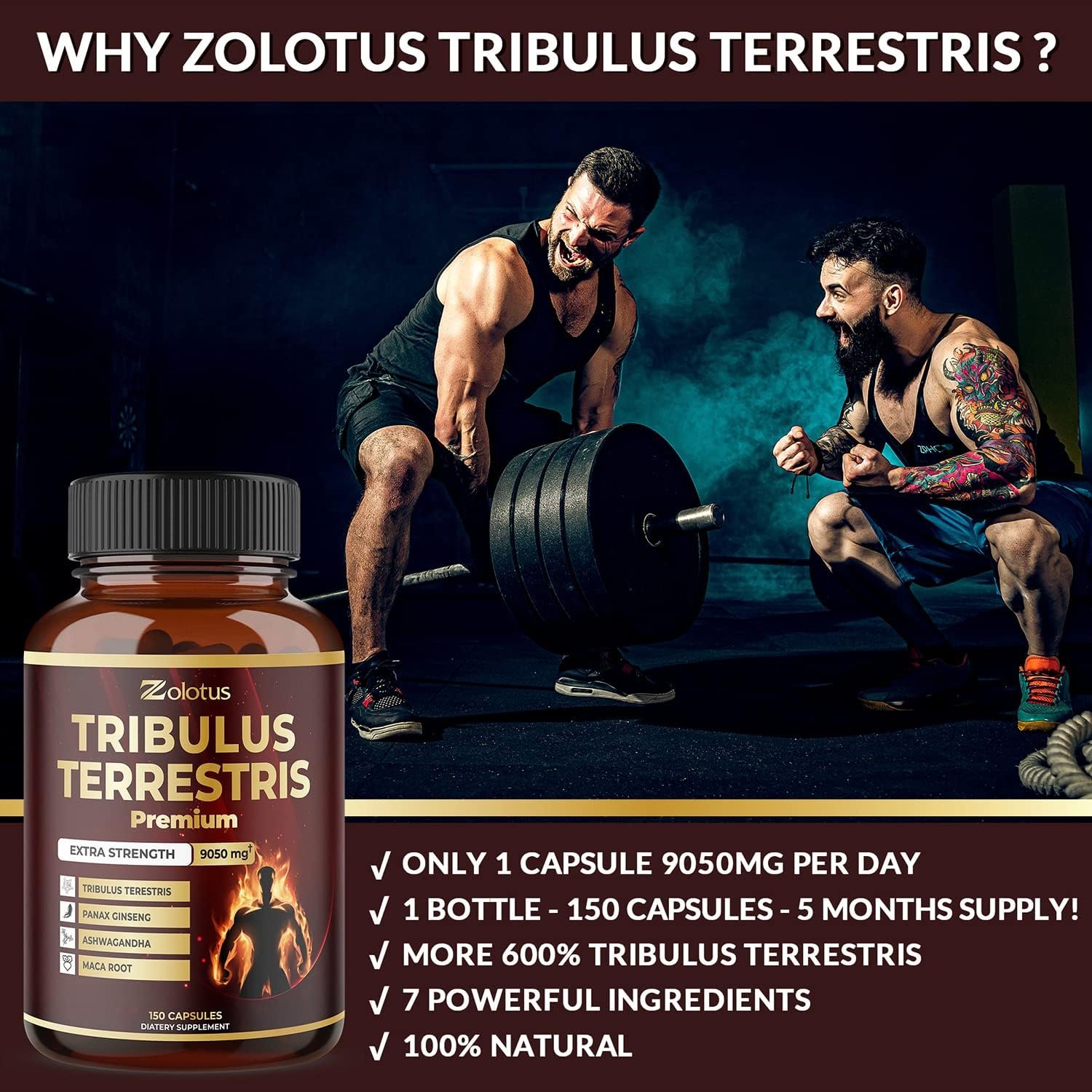 Tribulus Terrestris, 9050mg Per Capsule, 5 Months Supply with Ashwagndha, Panax Ginseng, Saw Palmetto, Maca, Shilajit. Energy, Stamina Performance Supplement for Men Women